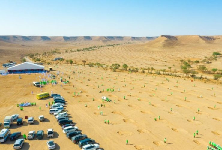 Tree Plantation Drive To Increase SAUDIA's Green Cover - Green Campaign